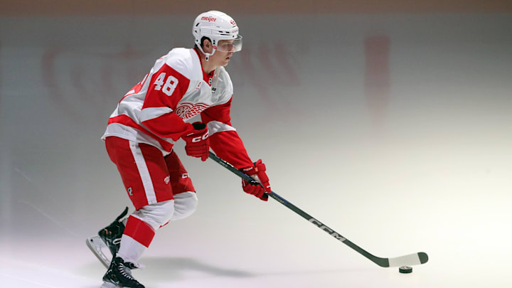 Nov 13, 2024; Pittsburgh, Pennsylvania, USA;  Detroit Red Wings right wing Jonatan Berggren (48) takes the ice to warm up against the Pittsburgh Penguins at PPG Paints Arena. Mandatory Credit: Charles LeClaire-Imagn Images