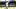 Milwaukee Brewers outfielder Jackson Chourio Milwaukee Brewers outfielder Jackson Chourio