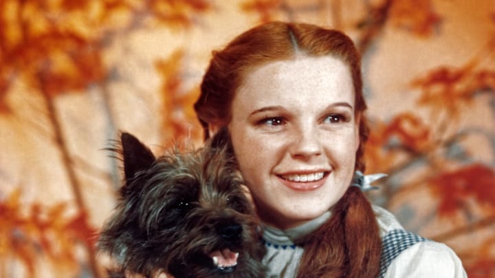‘The Wizard of Oz.’ 