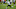 NY Jets NY Jets
