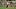 New England Patriots wide receiver A.J. Brown New England Patriots wide receiver A.J. Brown