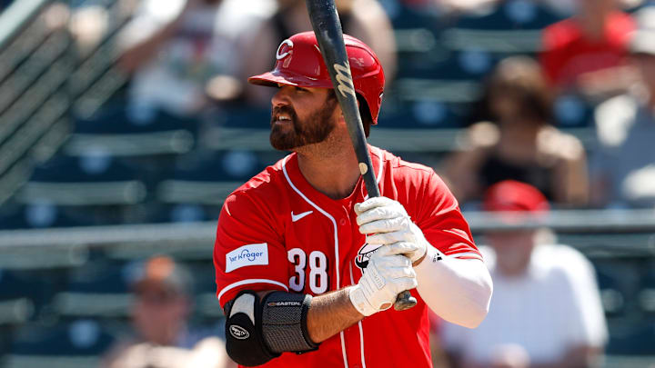 Cincinnati Reds designated hitter Mike Ford