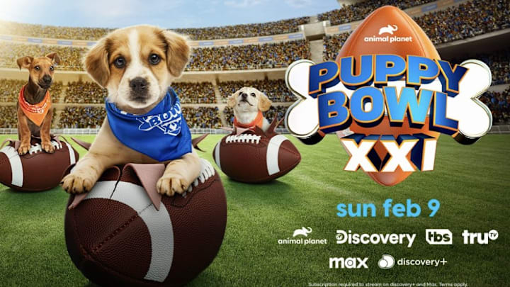 Puppy Bowl XXI Returns Sunday, February 9 Across Animal Planet, Discovery, TBS, truTV, Max and discovery+