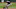 José Abreu será agente libre José Abreu será agente libre