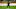Rodrygo