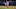 Ross Stripling, SF Giants Ross Stripling, SF Giants