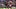 Ben White y Wilfried Zaha