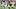 Pat Freiermuth, Pittsburgh Steelers, 2026 Fantasy Football Pat Freiermuth, Pittsburgh Steelers, 2026 Fantasy Football