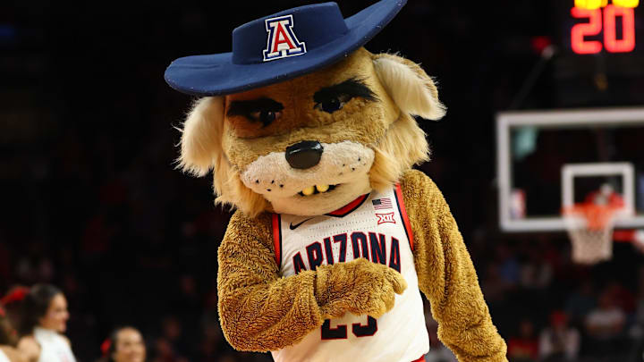 Dec 14, 2024; Phoenix, Arizona, USA; Arizona Wildcats mascot Wilbur at Footprint Center. Mandatory Credit: Mark J. Rebilas-Imagn Images
