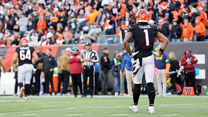 Houston Texans v Cincinnati Bengals
