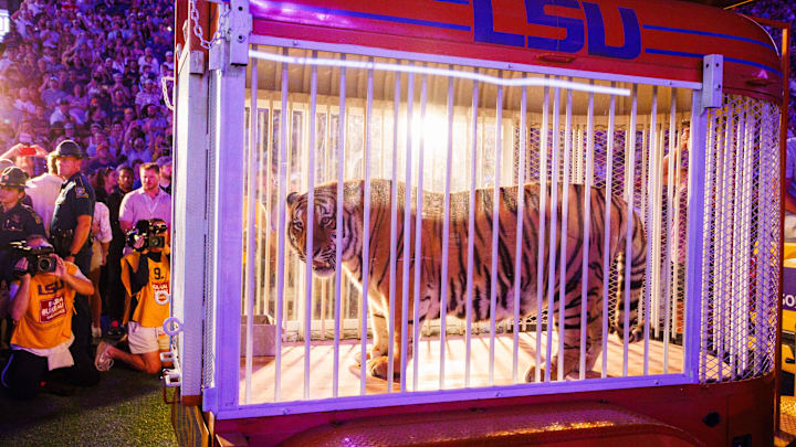 Nov 9, 2024; Baton Rouge, Louisiana, USA;  A live tiger made an appearance on the field before the game between the LSU Tigers and the Alabama Crimson Tide at Tiger Stadium. Mandatory Credit: Stephen Lew-Imagn Images