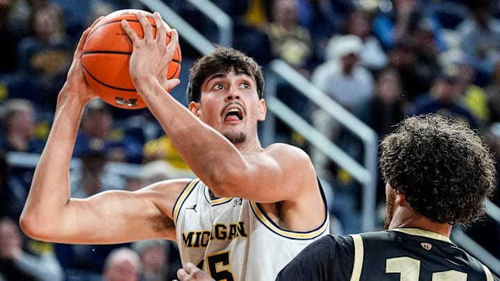 Michigan center Aday Mara