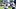 New England Patriots tight end Eli Raridon New England Patriots tight end Eli Raridon