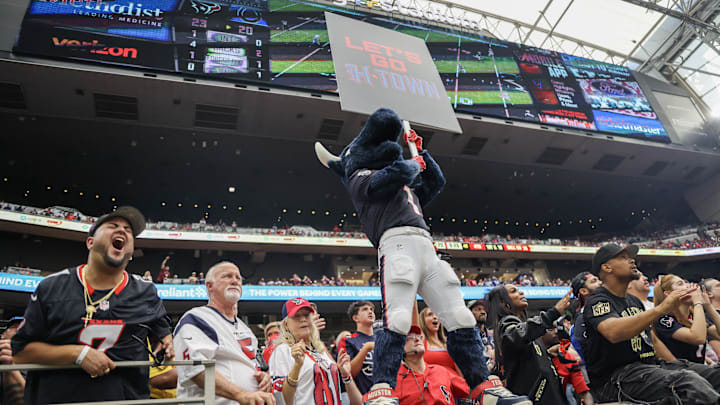 Houston Texans fans