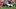 Saints linebacker DannyStutsman Saints linebacker DannyStutsman