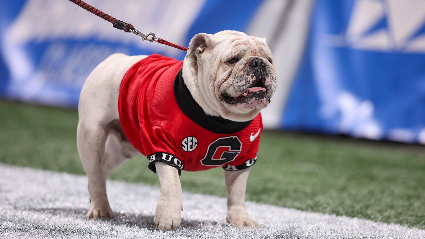 Jayden Aparicio-Bailey Commits to Clemson Tigers 2027 Class Over Georgia Football