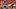Ruben Hyppolite II running down Patrick Mahomes Ruben Hyppolite II running down Patrick Mahomes