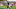 Baltimore Ravens, Grant DuBose Baltimore Ravens, Grant DuBose