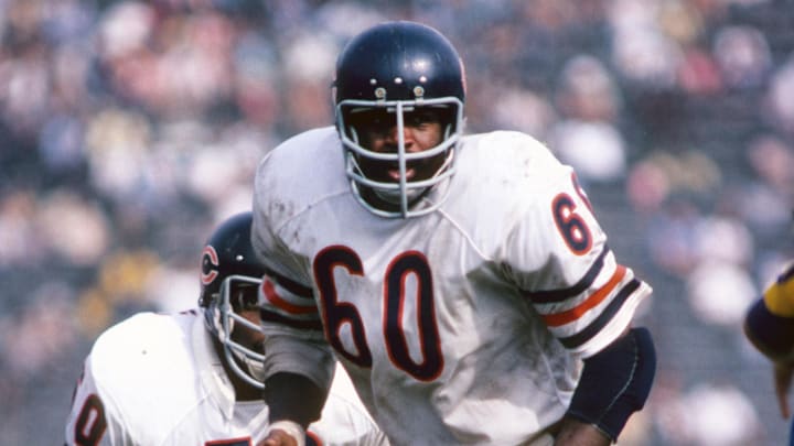 Chicago Bears