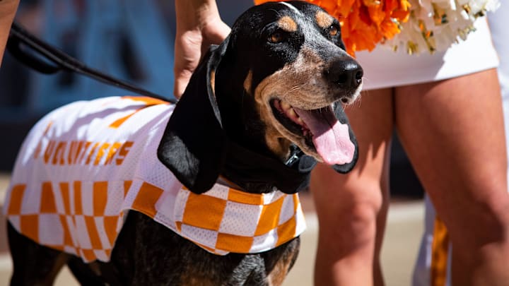 Smokey X in front of Neyland Stadium at the University of Tennessee in Knoxville, Tenn., on Wednesday, Oct. 14, 2020. The university is hosting Spirit Week instead of Homecoming because of the coronavirus pandemic. This is one of several events throughout the week.
Spirit Week Smokey Meet Up92033 Smokey X in front of Neyland Stadium at the University of Tennessee in Knoxville, Tenn., on Wednesday, Oct. 14, 2020. The university is hosting Spirit Week instead of Homecoming because of the coronavirus pandemic. This is one of several events throughout the week.
Spirit Week Smokey Meet Up92033