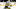 Logan Thompson, Arshdeep Bains Logan Thompson, Arshdeep Bains