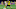 FBL-GER-BUNDESLIGA-LEIPZIG-DORTMUND FBL-GER-BUNDESLIGA-LEIPZIG-DORTMUND