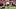 Virginia Tech kicker John Love Virginia Tech kicker John Love