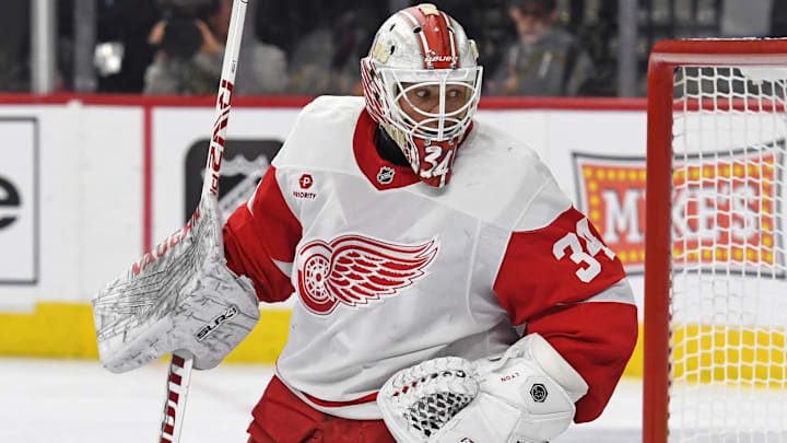 Jan 21, 2025; Philadelphia, Pennsylvania, USA; Detroit Red Wings goaltender Alex Lyon (34) against the Philadelphia Flyers at Wells Fargo Center. Mandatory Credit: Eric Hartline-Imagn Images