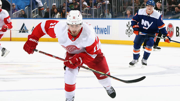 Detroit Red Wings v New York Islanders