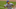 2026 Fantasy Baseball Sleeper: Evan Carter, Texas Rangers