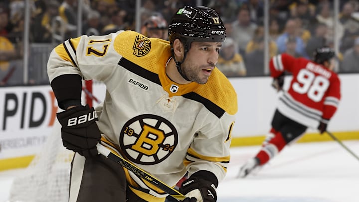 Oct 11, 2023; Boston, Massachusetts, USA; Boston Bruins left wing Milan Lucic (17) during the second period against the Chicago Blackhawks at TD Garden. Mandatory Credit: Winslow Townson-Imagn Images