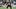 New England Patriots running back Lan Larison (34) New England Patriots running back Lan Larison (34)