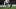 Gary Lineker Tottenham Gary Lineker Tottenham