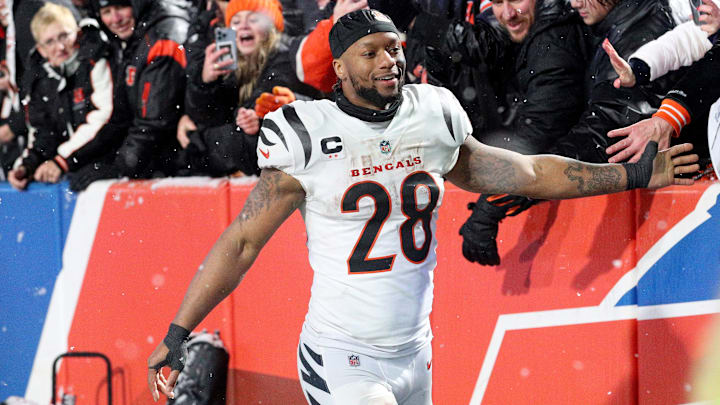 AFC Divisional Playoffs - Cincinnati Bengals v Buffalo Bills
