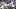 Baltimore Ravens safety Keondre Jackson (39) and linebacker Teddye Buchanan (40) and safety Malaki Starks (24) reac Baltimore Ravens safety Keondre Jackson (39) and linebacker Teddye Buchanan (40) and safety Malaki Starks (24) reac
