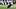 New England Patriots kicker Andy Borregales New England Patriots kicker Andy Borregales