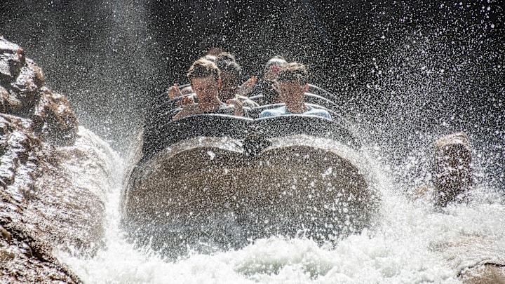 Walt Disney World in Orange County