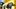 The Milwaukee Panthers are in the field of 64 on the baseball diamond after winning the Horizon League. The Milwaukee Panthers are in the field of 64 on the baseball diamond after winning the Horizon League.