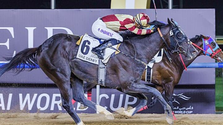 Heart of Honor at UAE Derby Heart of Honor at UAE Derby