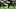 Oklahoma Sooners, Adepoju Adebawore, Kendal Daniels Oklahoma Sooners, Adepoju Adebawore, Kendal Daniels