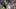 Kirk Herbstreit Identifies Two College Football Coaches on the Hot Seat in 2026 Kirk Herbstreit Identifies Two College Football Coaches on the Hot Seat in 2026