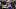 Washington Huskies quarterback Demond Williams Jr. Washington Huskies quarterback Demond Williams Jr.