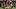 Oct 17, 2026; Miami Gardens, Florida, USA; Miami Hurricanes running back Mark Fletcher Jr. (4) runs against Florida State Se Oct 17, 2026; Miami Gardens, Florida, USA; Miami Hurricanes running back Mark Fletcher Jr. (4) runs against Florida State Se