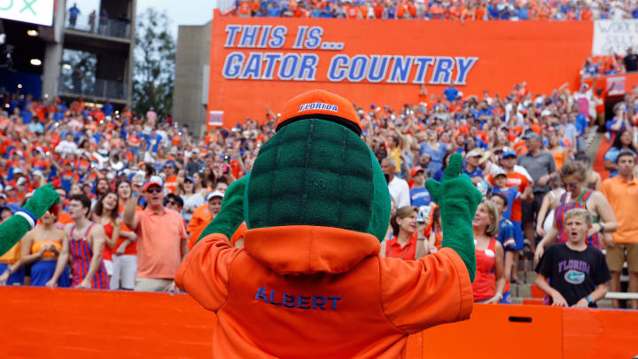 The Florida Gators have been down, but not out. There's a sleeping giant in Gainesville The Florida Gators have been down, but not out. There's a sleeping giant in Gainesville