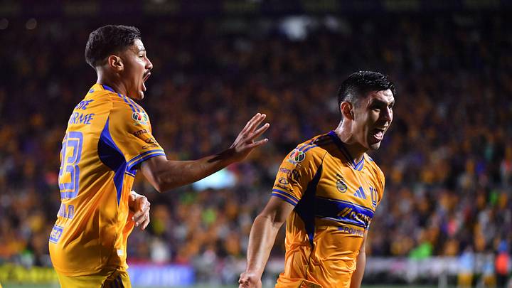 Los lesionados y suspendidos de Tigres UANL