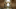 DARYLDIXON_305_CO_1029_0078-RT