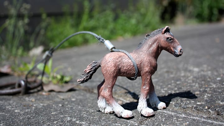 The horse rings in Portland, Oregon, have a new use.