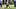 New England Patriots wide receiver Efton Chism III New England Patriots wide receiver Efton Chism III
