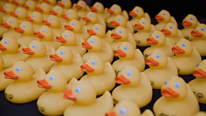 Rubber ducks