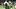 South Africa 1998 World Cup kit South Africa 1998 World Cup kit